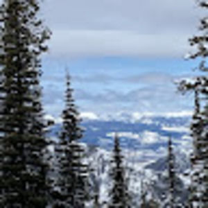 Meet your Posher, Aaliyah